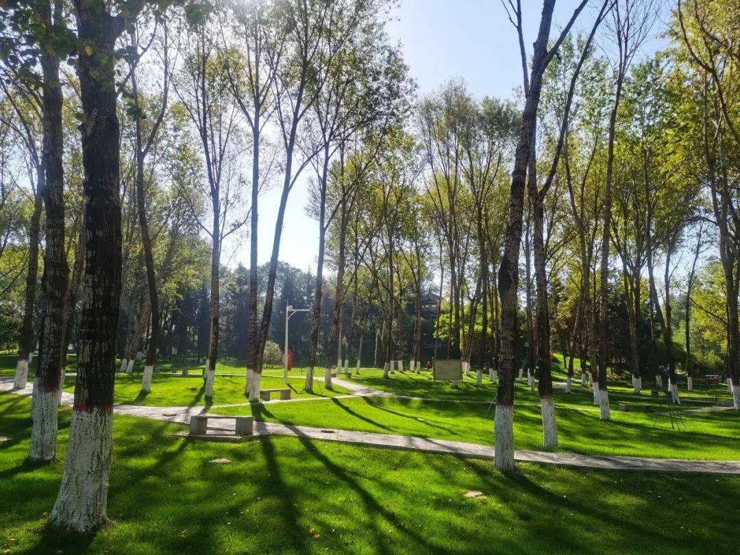 公园20分钟效应是真的!来这里,拥抱西宁的春天~_景区_浦宁_凤凰山