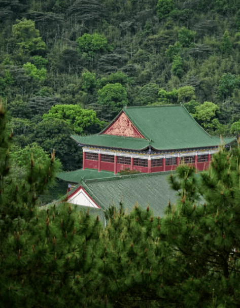 四会飞鹅岭湿地公园图片