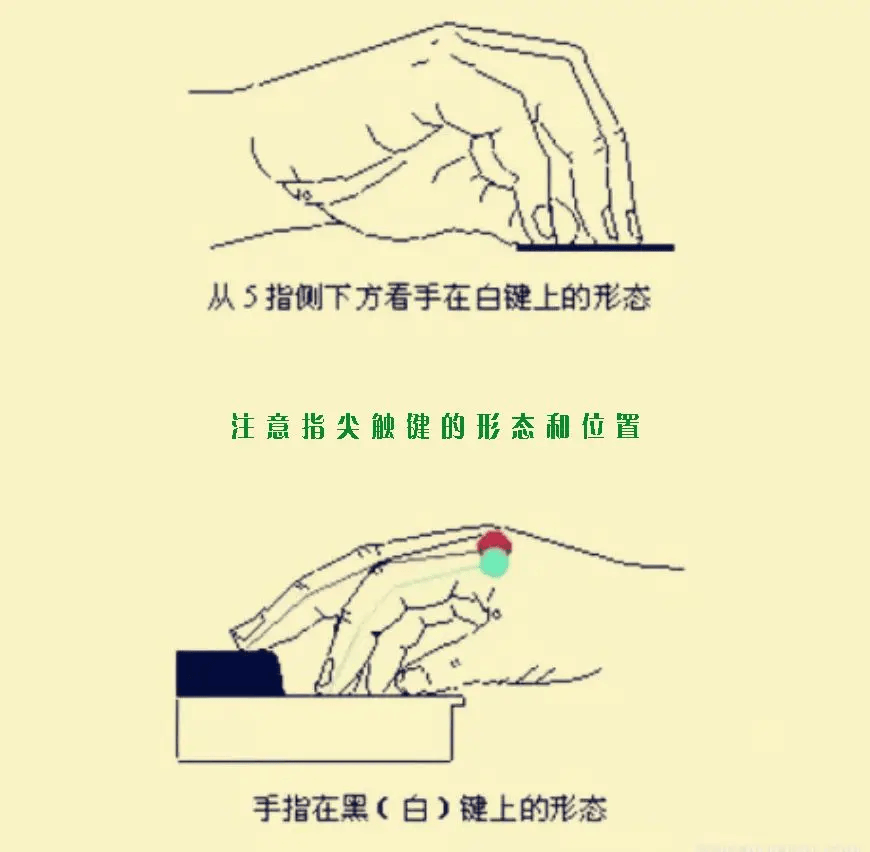 弹钢琴,“用指尖触键”的正确理解_手指_顶端_部位