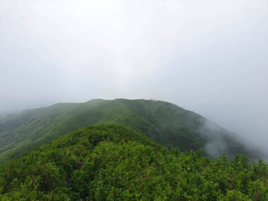 湖南海拔最高的春天在这里