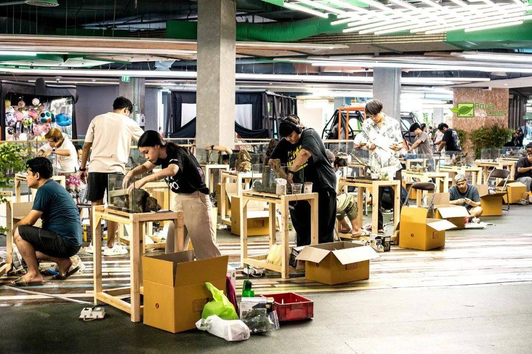 泰国举办水族造景艺术集市