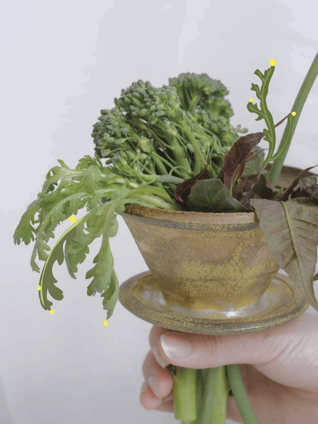 春天在盘里杯里味蕾里