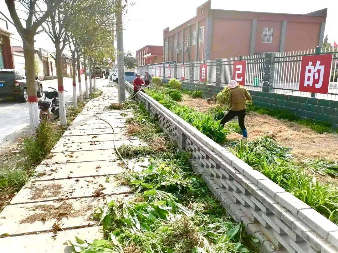 乡村振兴获嘉县太山镇立体式设计打造宜居宜业和美乡村