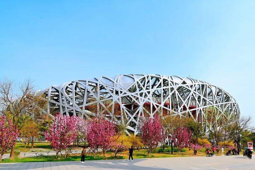 关于2024年北京国际长跑节期间国家体育场(鸟巢)对外开放时间调整的公