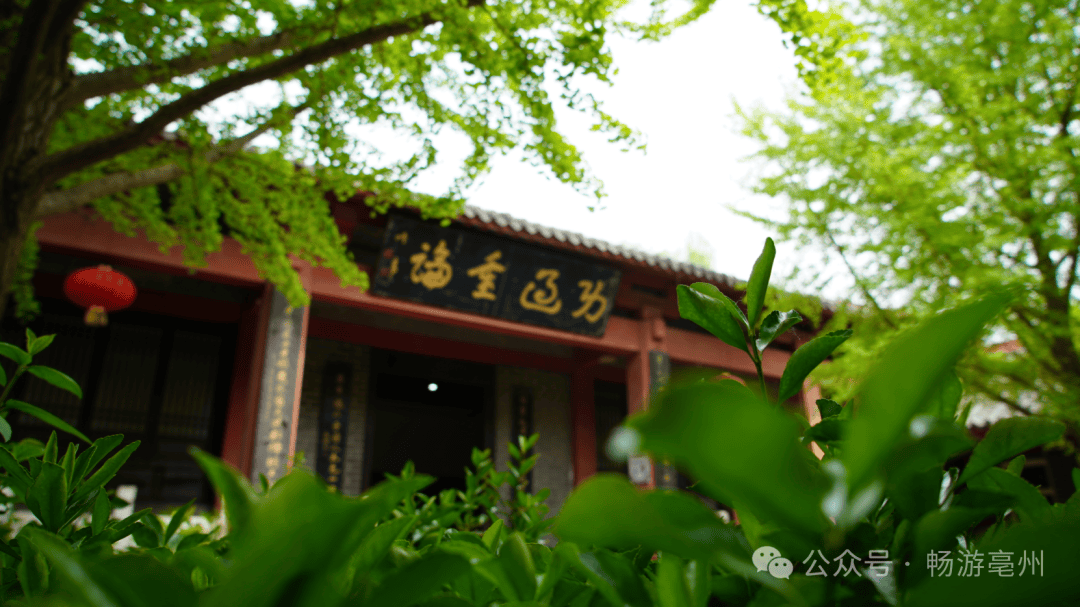 亳州古城春意浓 | 春游江淮 亳州等您_华祖庵_美景_微风