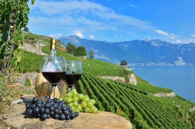 法国瑞士体育主题夏令营吃住行一站式解决这次我们搞个大动作