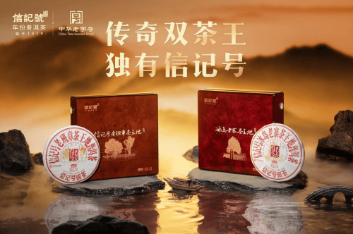 (2020-2024)掌握冰岛五寨茶树王采摘权,坐拥两大黄金产区茶树王,茶王