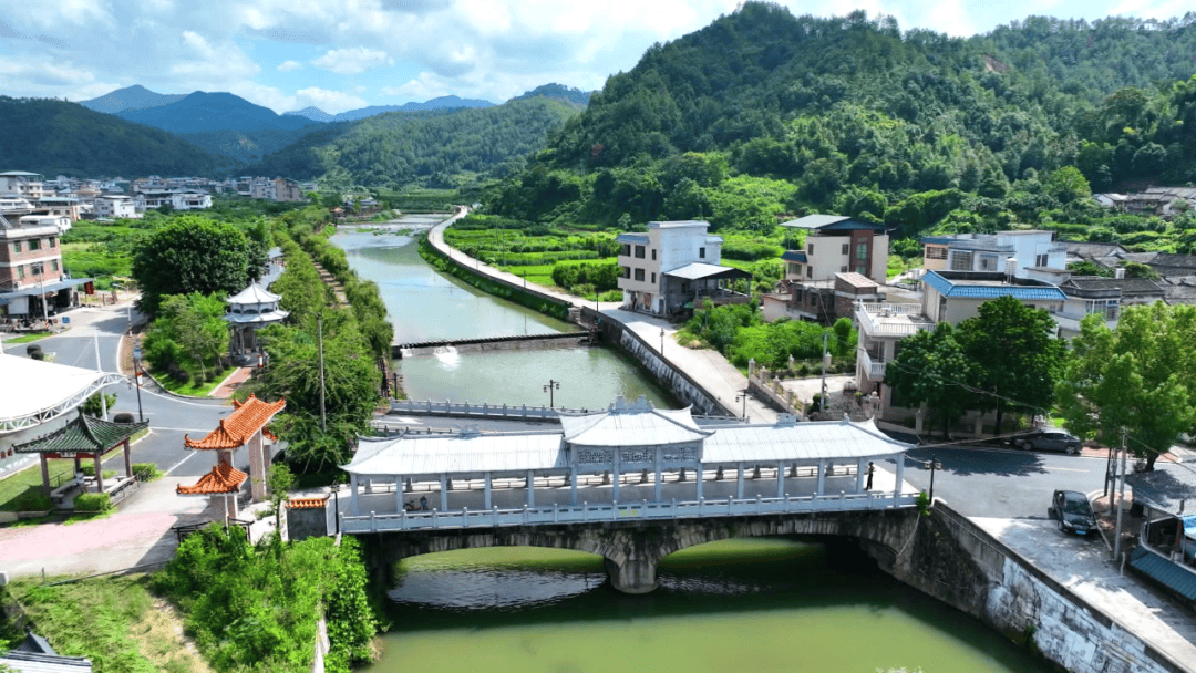 典型镇村壮大集体经济增强造血功能