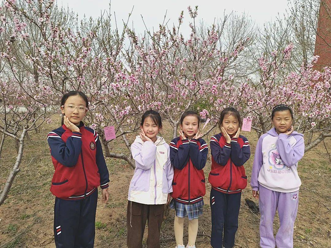 实践育人永安镇第二小学开展桃花朵朵开伴我共成长主题活动