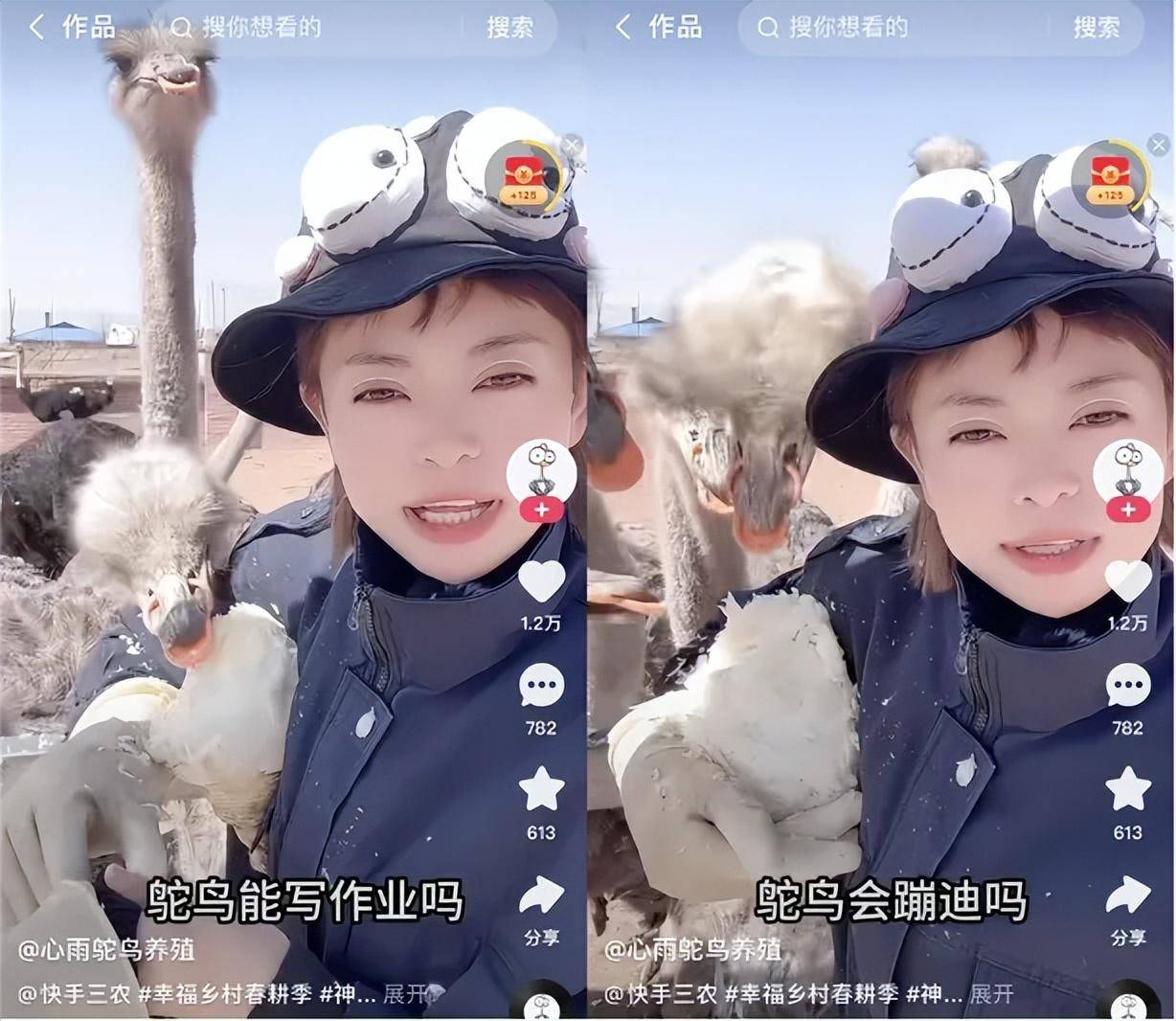 东北美女直播卖鸵鸟,年销400万,中学生也成了铁粉_王雪_养殖_问题