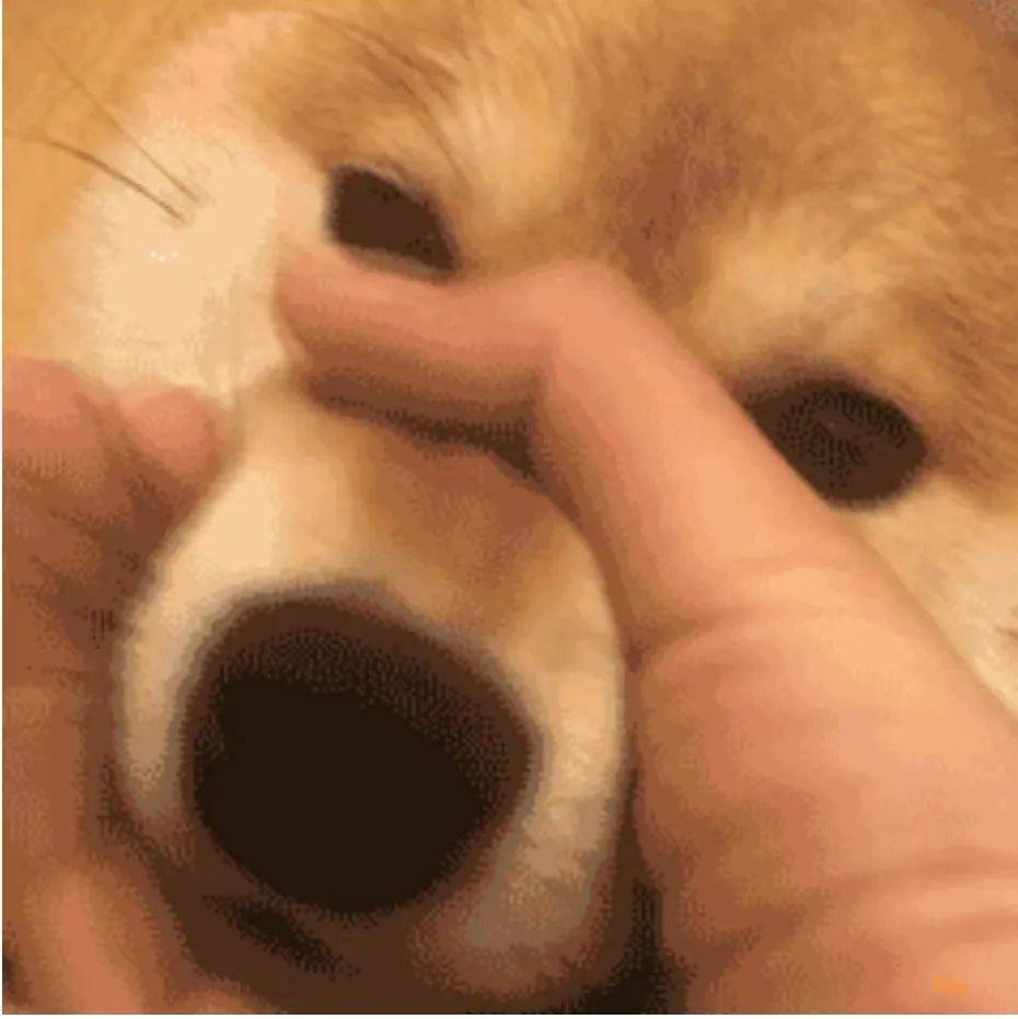 (顶锅盖逃走~)end编辑 |  曾俊莉
