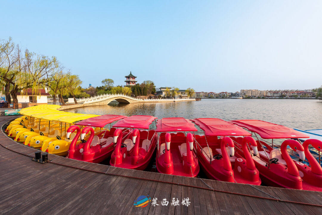 一头扎进春天里吧~莱西郁金香花海93地址:月湖公园-南门99