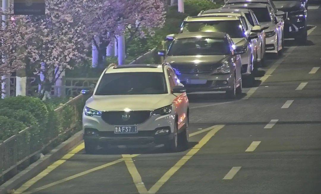 鲁c鲁g京a鄂f都被拍下来了