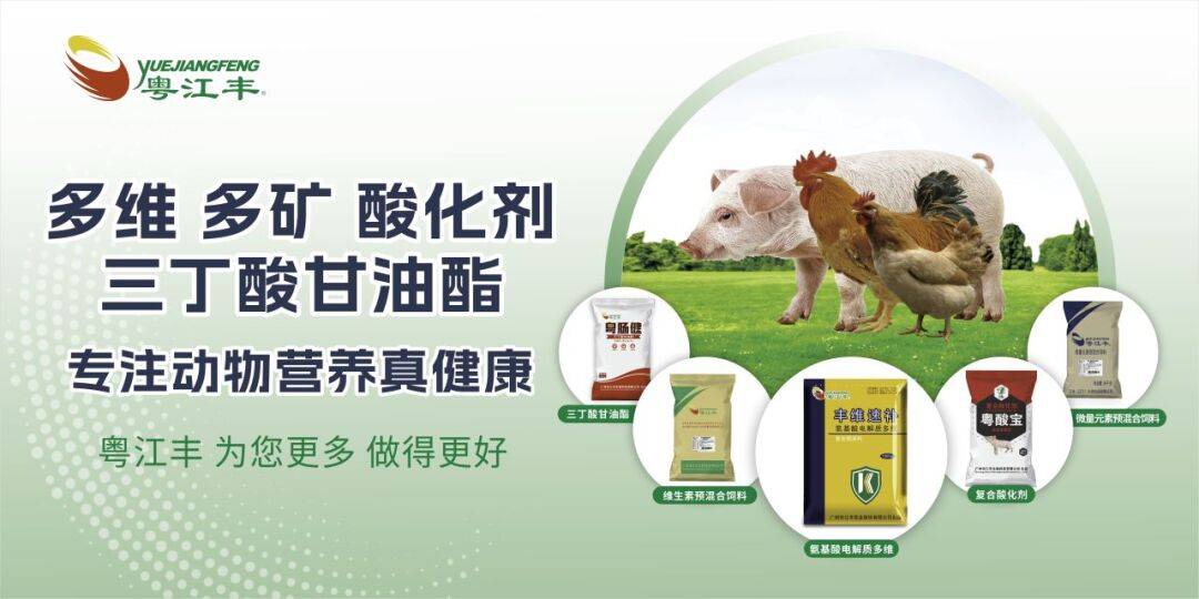 广告,也是一种资讯"养猪已经在盈利了""有部分地区仔猪价格已经涨破