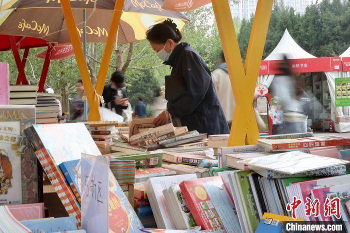 本届书市由北京市委宣传部主办,朝阳区人民政府和北京16个区及经开区