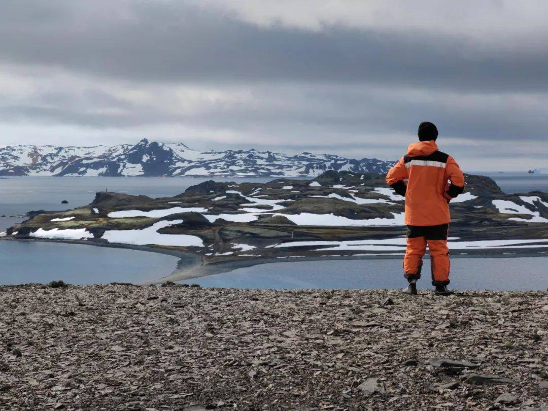 刘鸿伟_吴旭东_采样