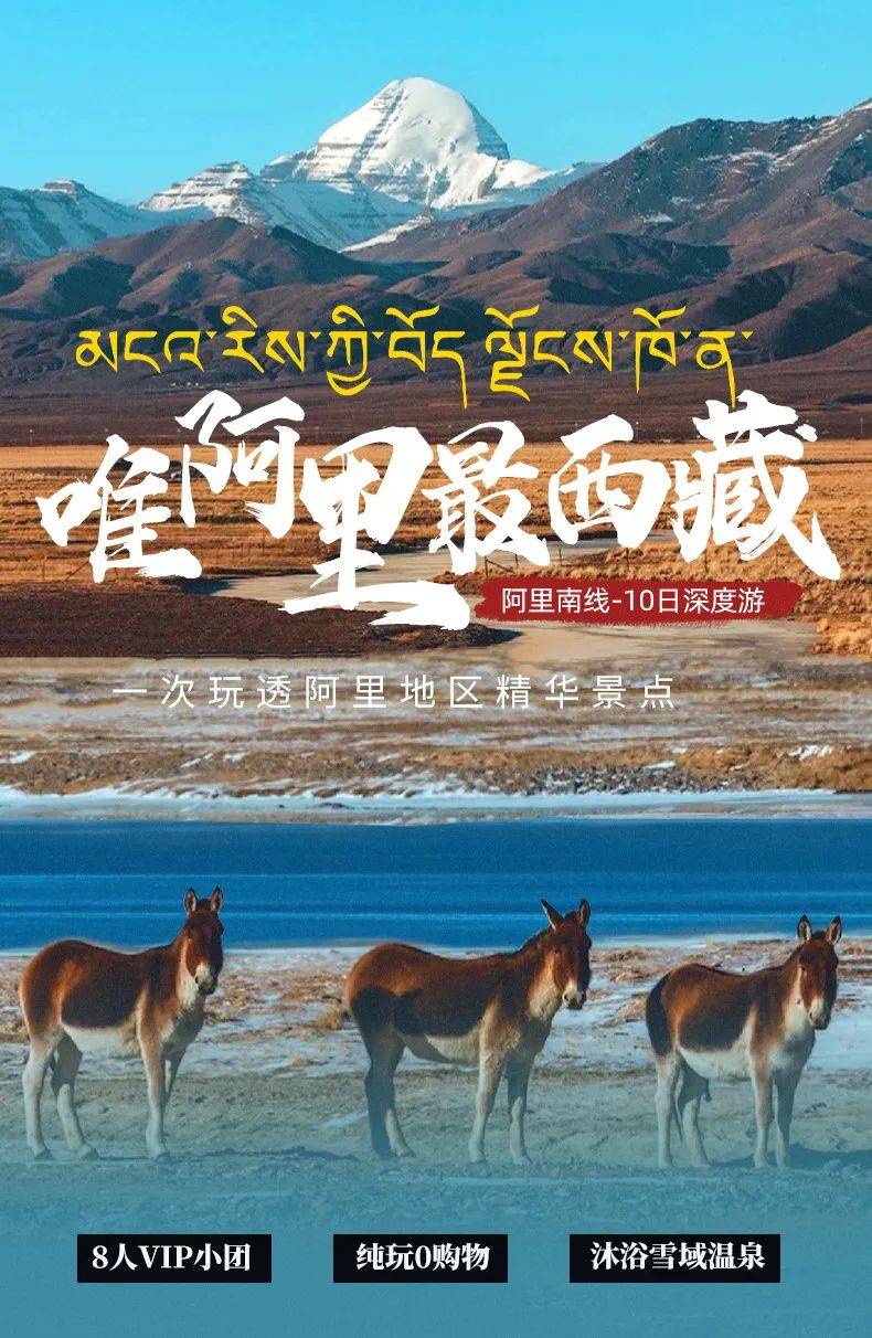 唯阿里-最西藏 | 拉萨-羊卓雍措-扎什伦寺-冈仁波齐-古格王朝-希夏邦马-珠峰大本营-玛旁雍措-纳木措 | 阿里南-10日全景_单房_完团_调整