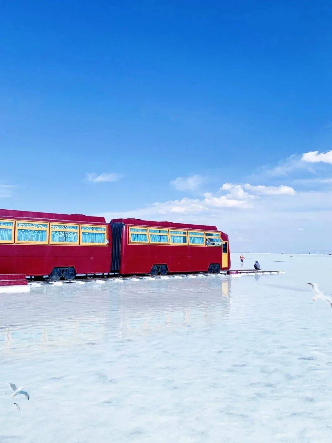 邂逅青海湖 茶卡盐湖 塔尔寺!有些风景需要亲自去感受!