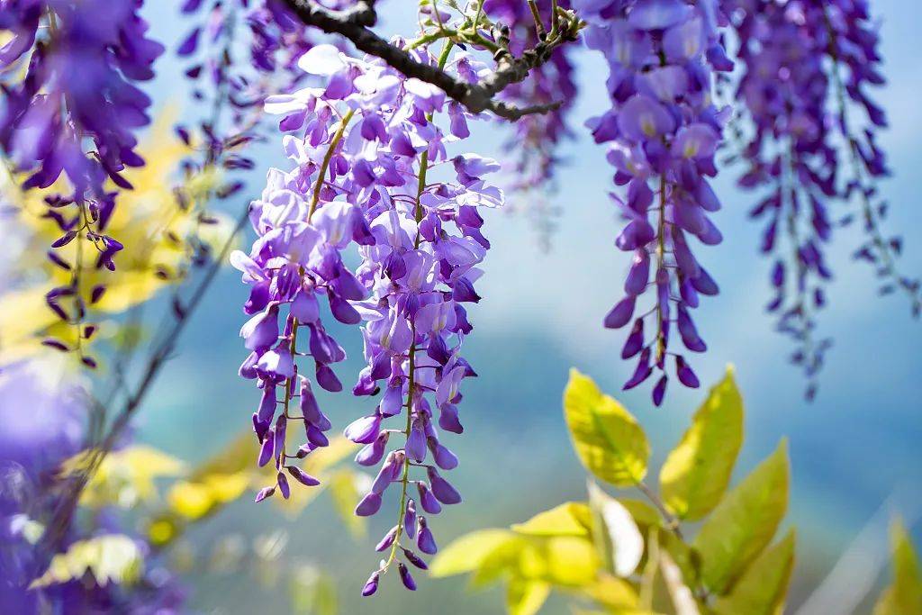 趣生活646464看花了646464