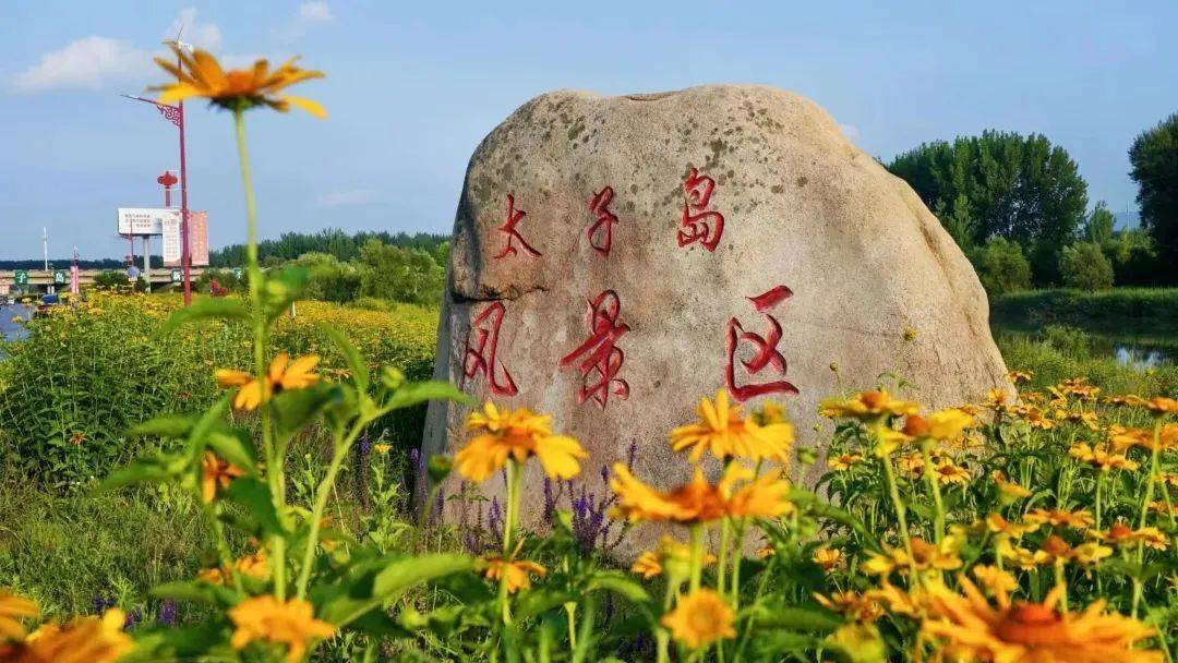 2024辽阳无处不飞花准备好了吗辽阳赏花地图67上线啦