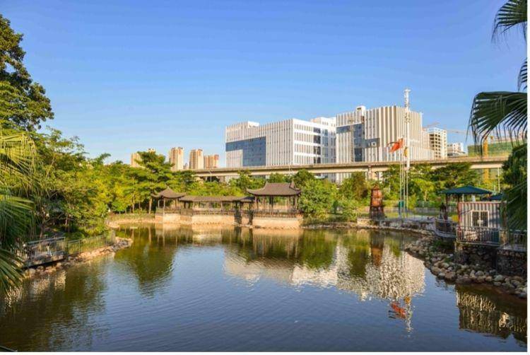 坑梓你来打卡人间最美四月天踏青赏花正当时