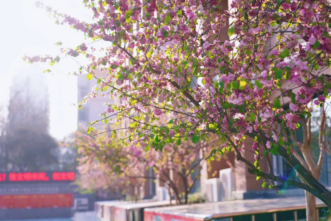 今天搭乘春日时光机来穿越时空