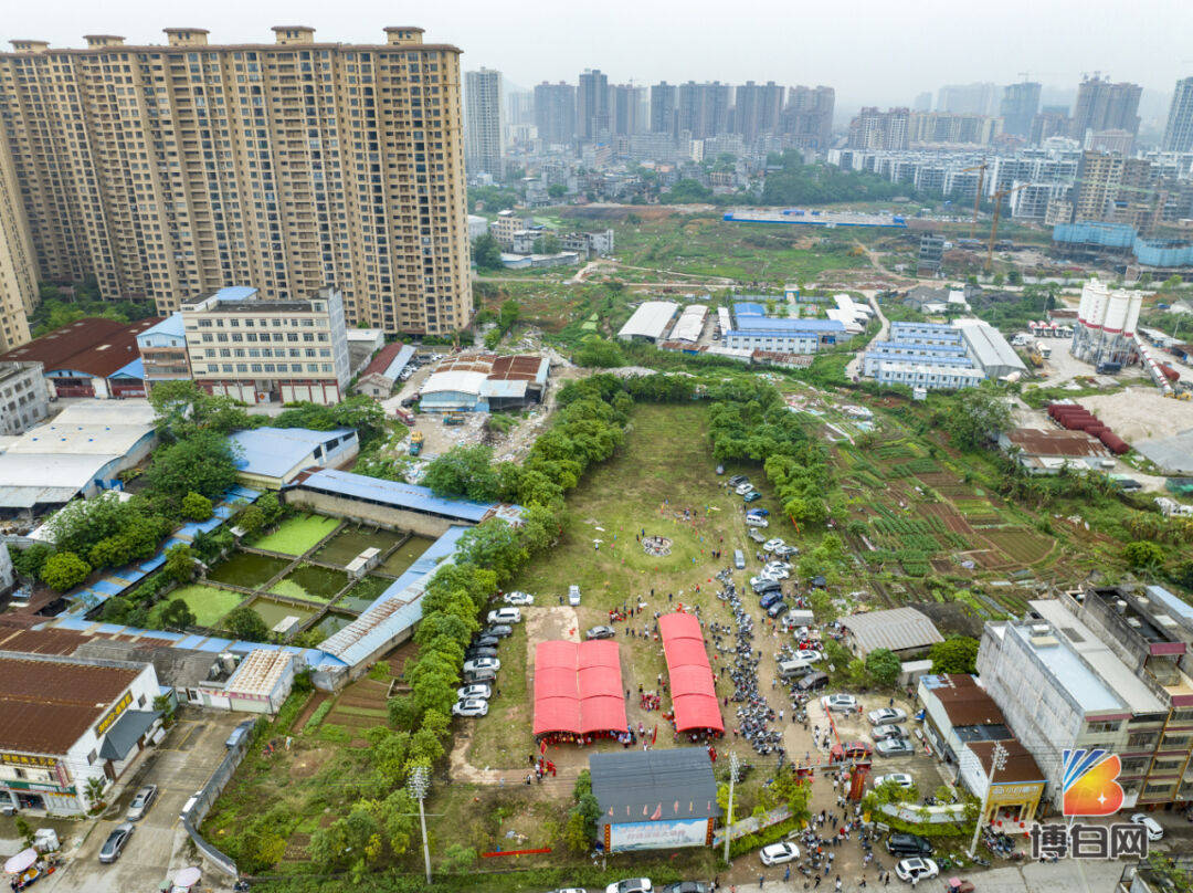 保护墓园园林绿化建设,4月11日上午,博白黄氏宗亲在县城大窝氹江夏
