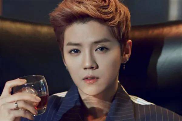 鹿晗,一个充满阳光与活力的名字,自2012年以韩国男子组合exo/exo-m