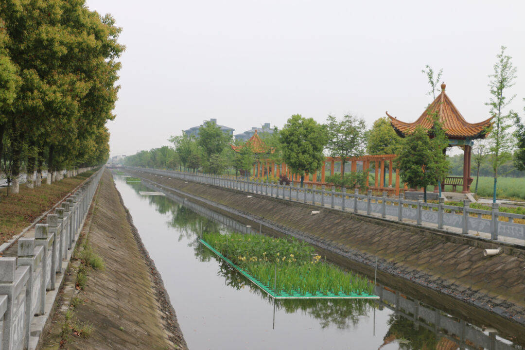 净水靓城这里的生态浮岛实力吸睛