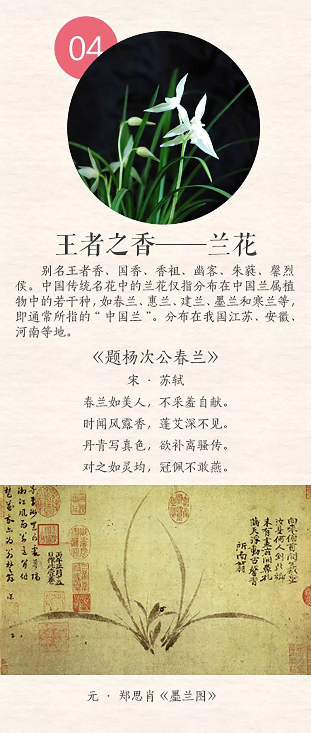 67一花一世界十首古诗中的十大名花转眼又是一年春来到这段话送给