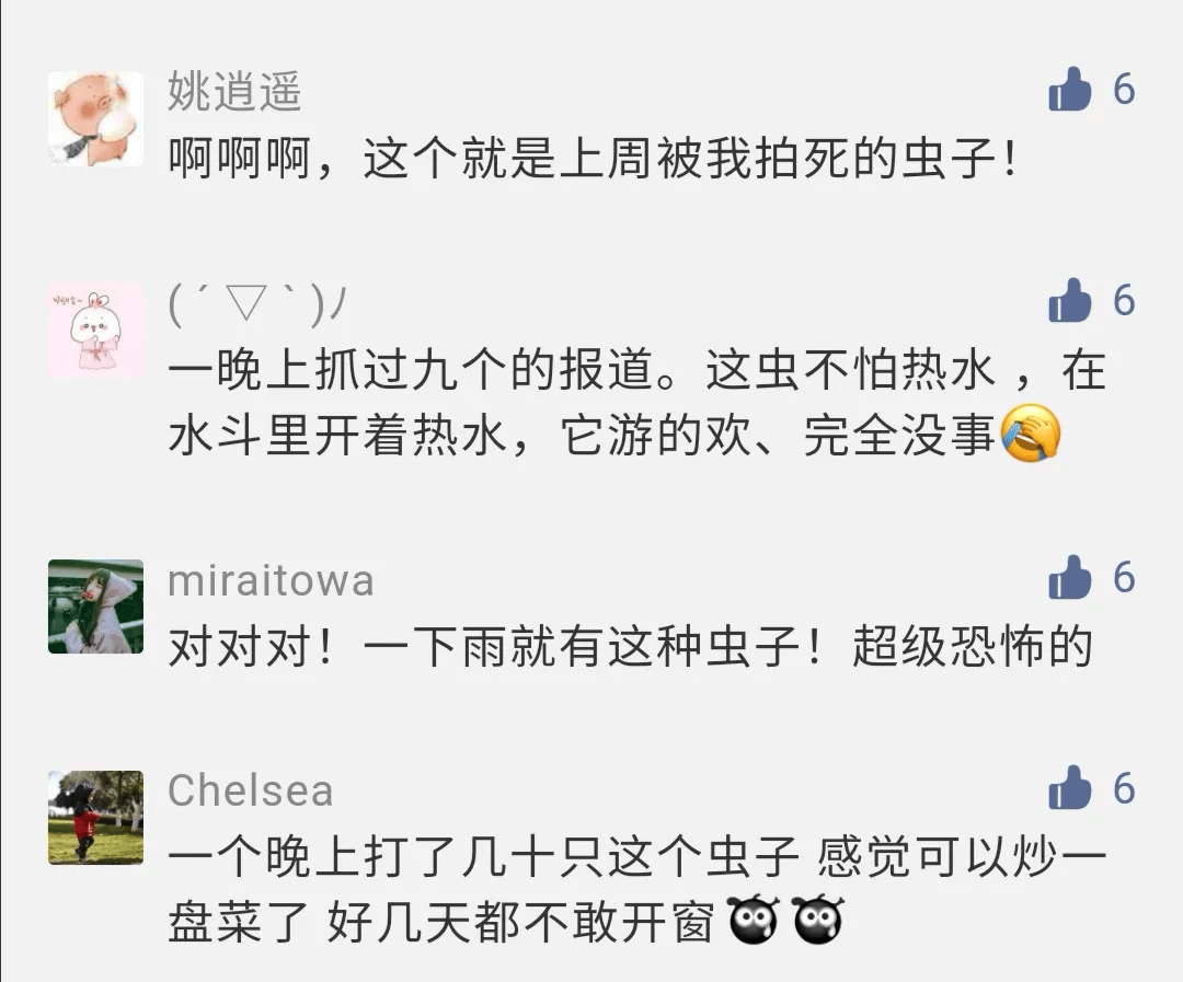 别碰很臭福建已出现一见到就是14颗