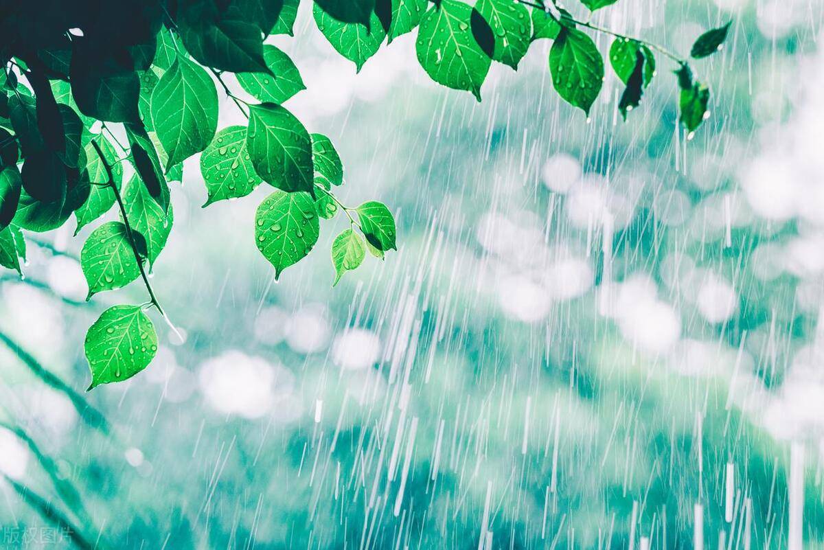 北地风丨落雨的清晨(习习)