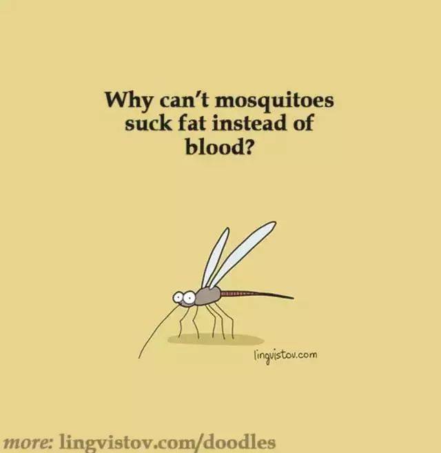 蚊子闹钟画图图片