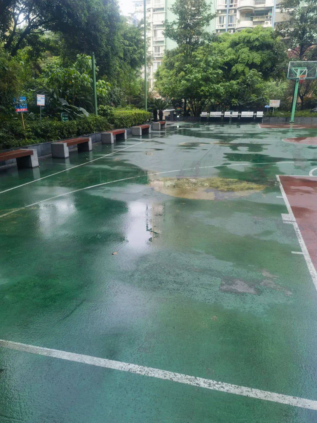 重庆明后两天最高气温或达33局地强对流天气即将来袭