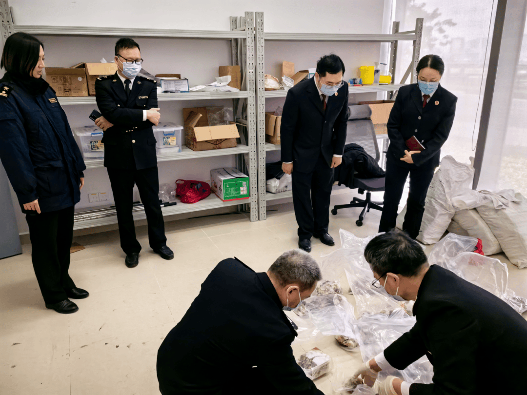 一根头发,一块皮肤组织,一只小昆虫,一粒种子等看似不起眼的微小事物