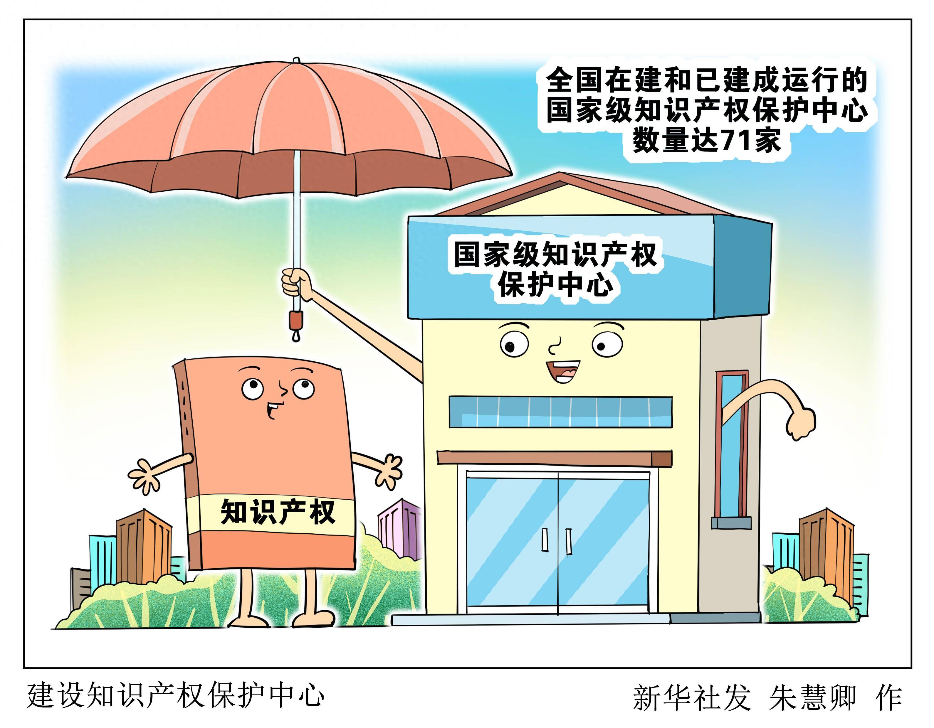 (图表·漫画)建设知识产权保护中心