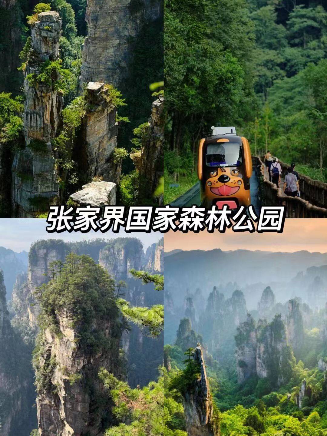 张家界旅游攻略介绍过来人讲述