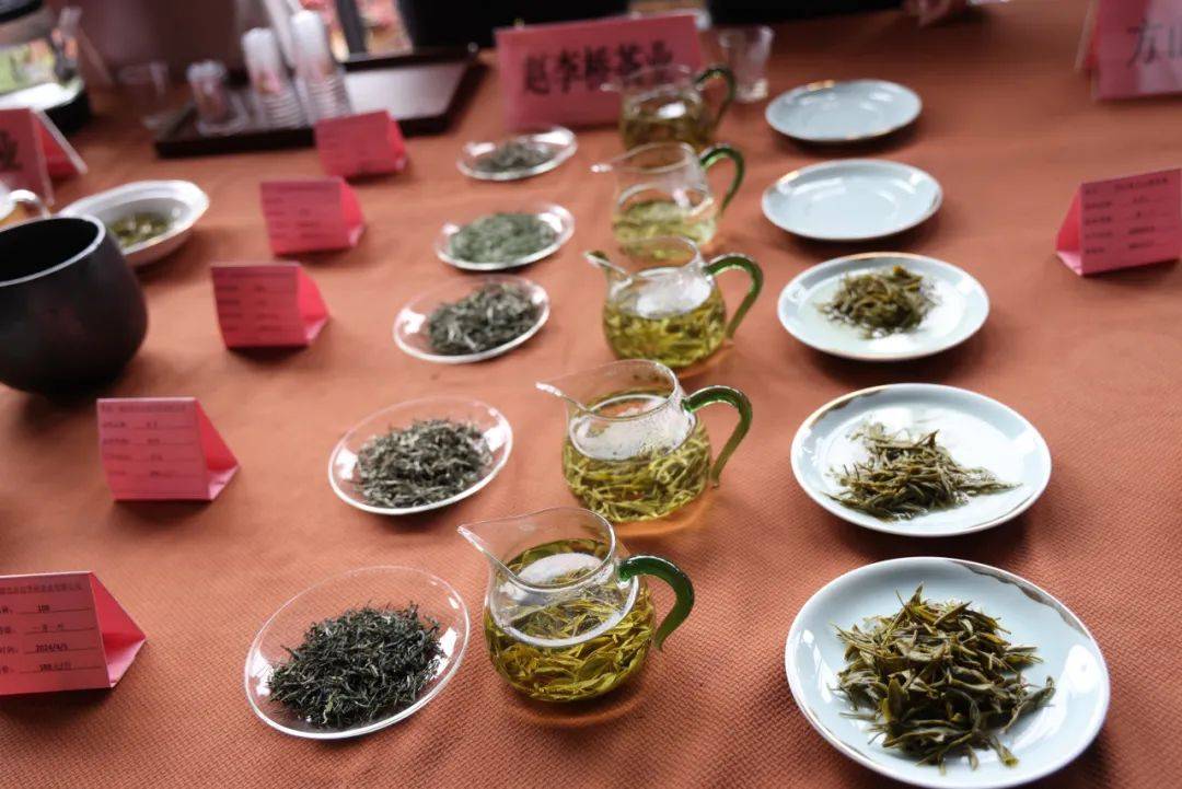 二届"百家茶馆进茶园暨春茶品鉴交易会"成功举行_茶叶协会_活动_农业