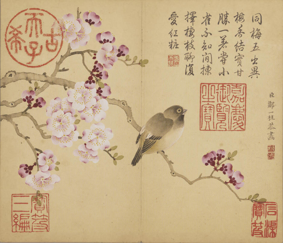 国画天地邹一桂花鸟草虫图册