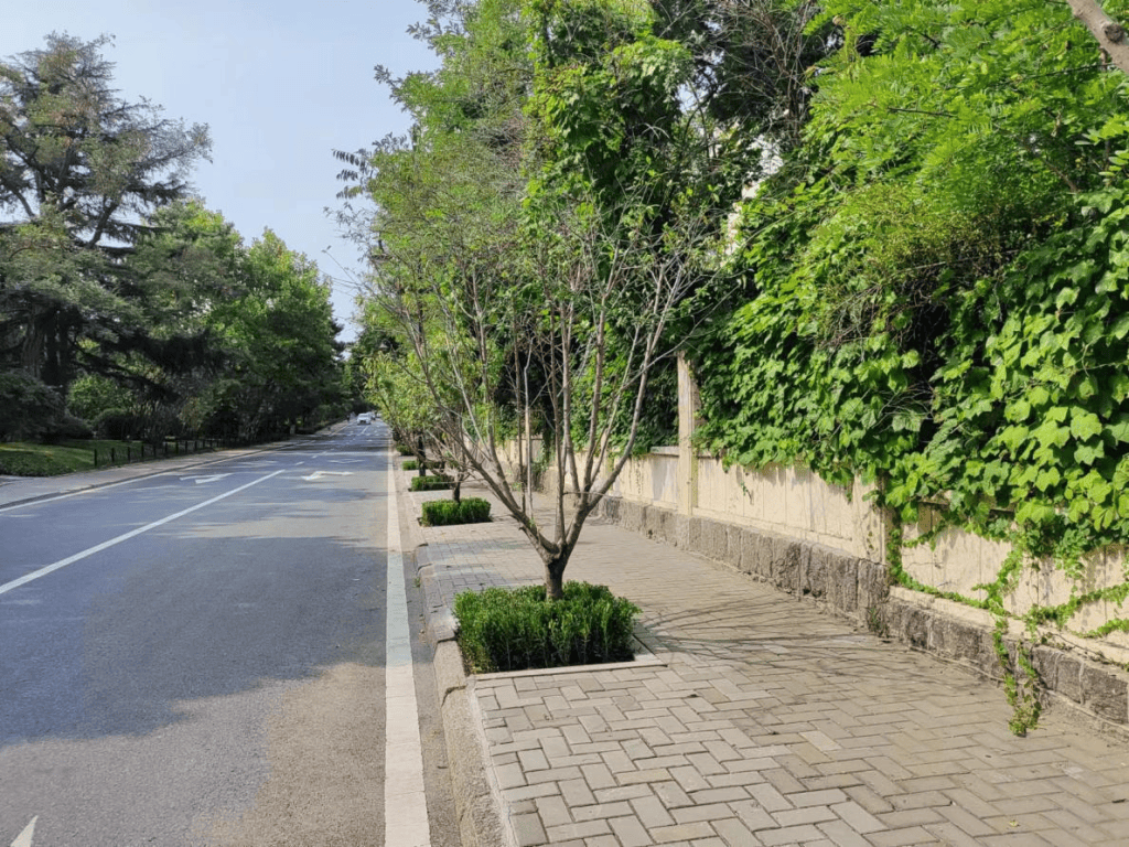 青岛市市南区聚焦精细绿化管理绘就宜居生活底色