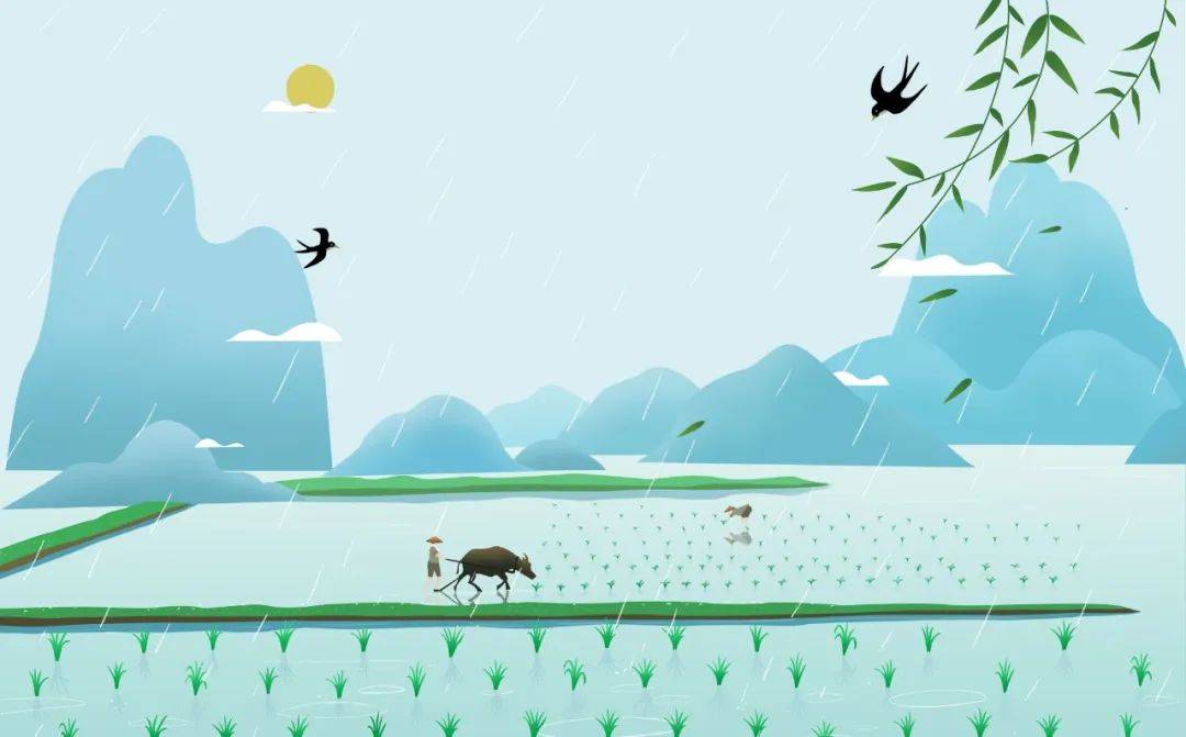 幼儿园_茶叶_春雨