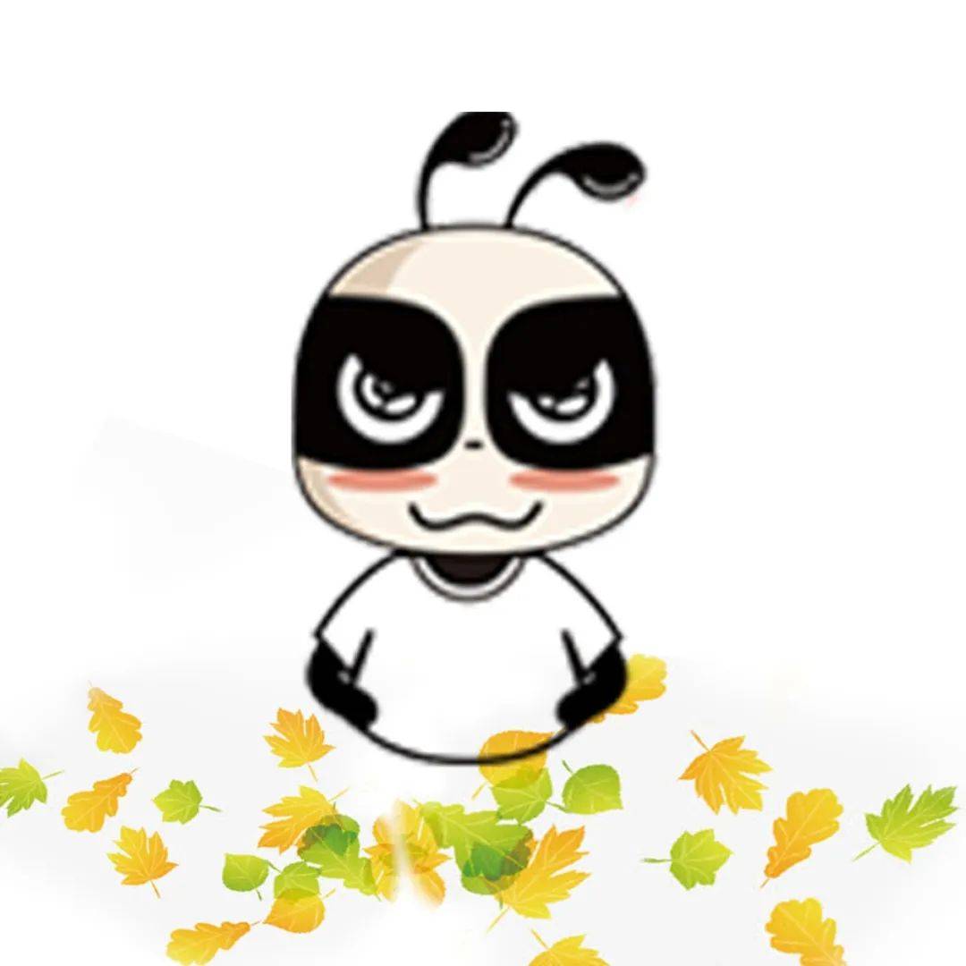 救命摄影人的构图也太会了吧