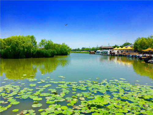 金水文学刘振纪我的梦里水乡