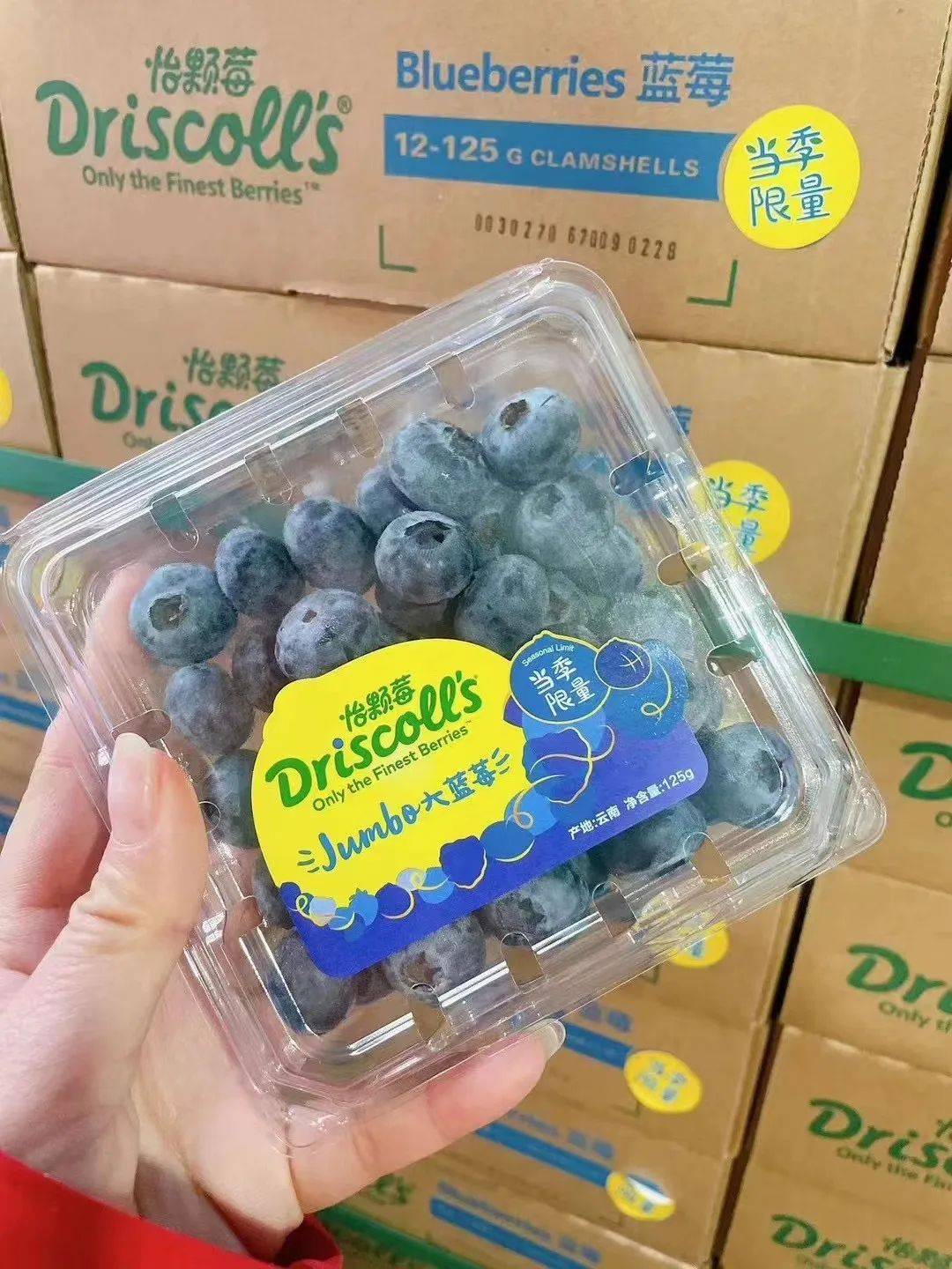 挑战全水果店zui低价商超￥698盒￥99秒杀6盒怡颗莓蓝莓l25品种009