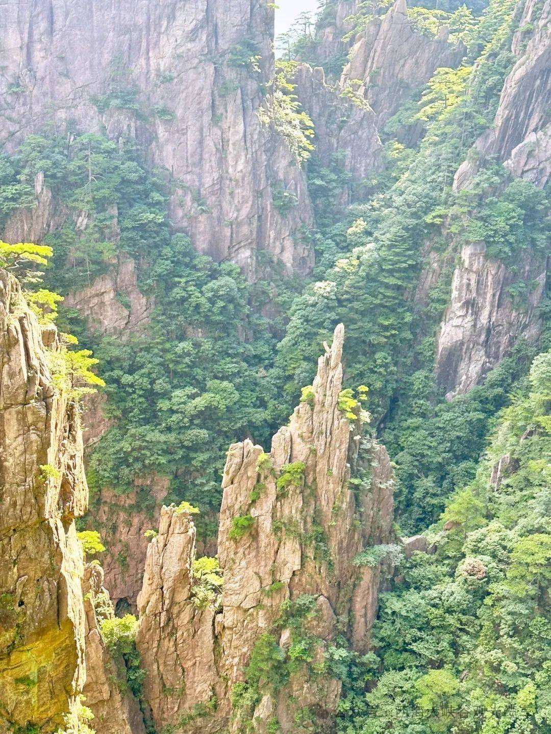 西海大峡谷景点介绍图片