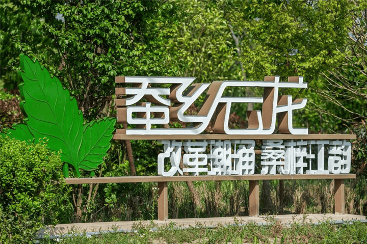 给全国小学生免费寄桑叶海宁这个村图啥