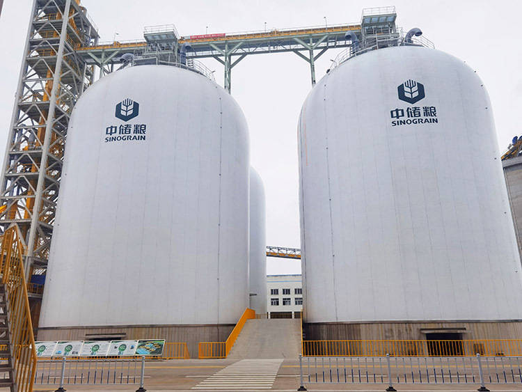 这家企业让粮食"住"进气膜仓 单仓可储粮7500吨!