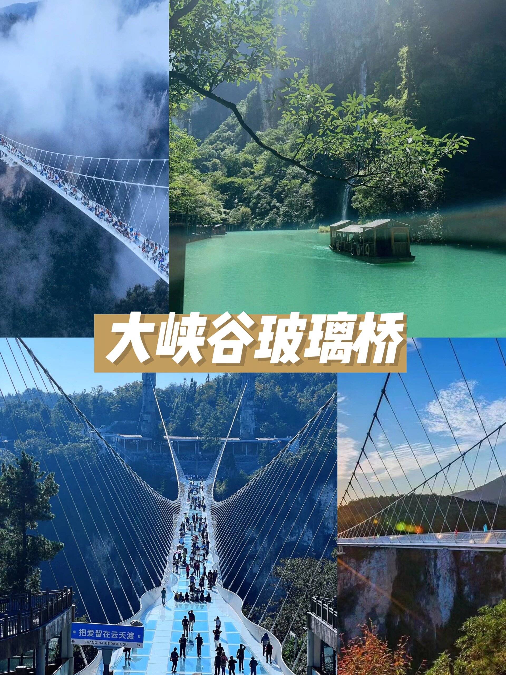 张家界旅游攻略肖林这篇旅游攻略一定收好了