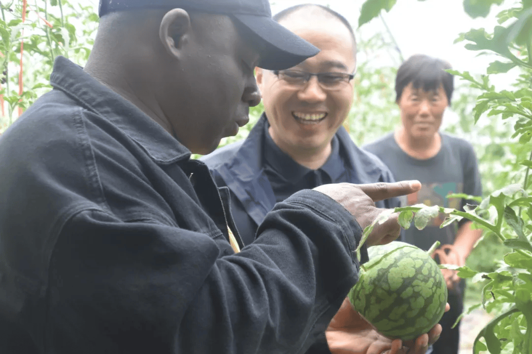快看歪果仁来到仁风镇体验西瓜采摘乐趣