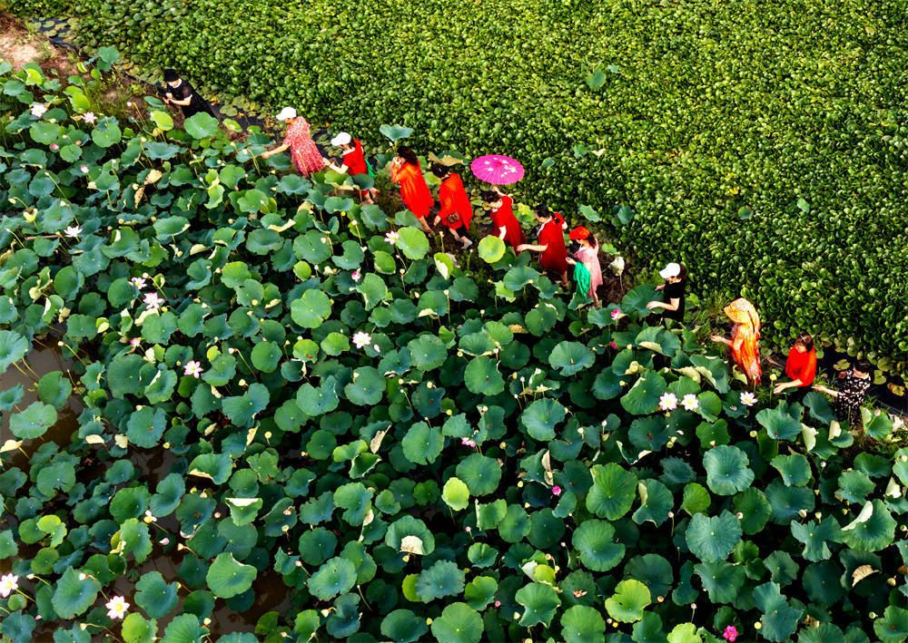 连云港特色农旅融合富了职工美了乡村